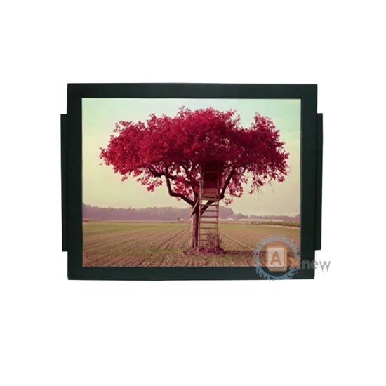 19 Inch Pcap Sunlight Readable Monitor Anti - Vandal Ar / AG Protective Screen